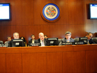 Consejo Permanente de la OEA en Sesión Especial el 7 de noviembre de 2012